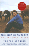 Thinking in Pictures