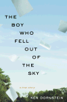 The Boy Who Fell Out of the Sky