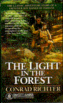 Light in the Forest