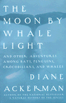 Moon By Whale Light