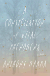 A Constellation of Vital Phenomena