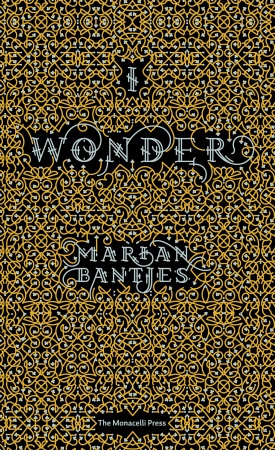 I Wonder by Marian Bantjes - Hardcover - Random House : graphic design illuminated artist books book