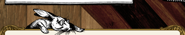 bunny graphic