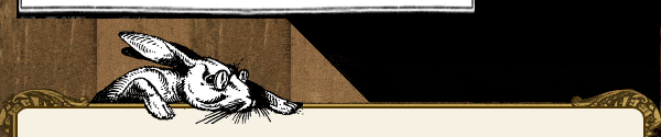 bunny graphic