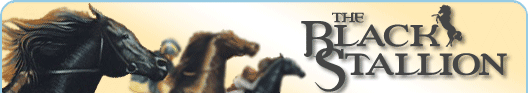 black stallion header