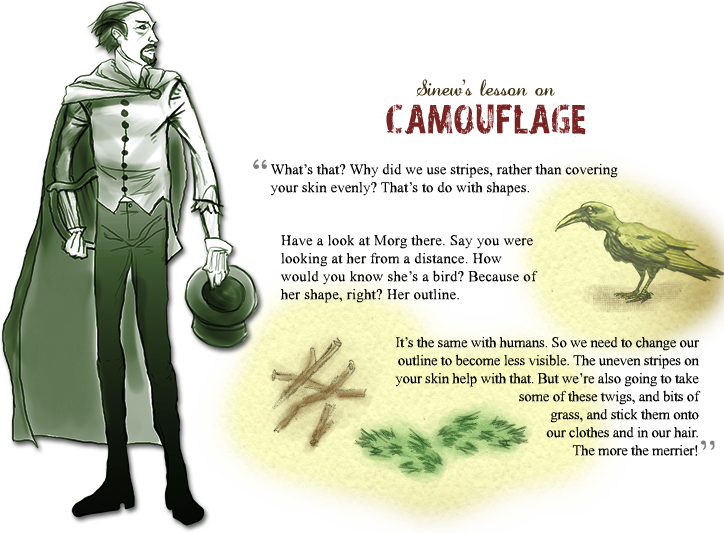 Camouflage Lesson 3