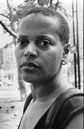Picture of Author