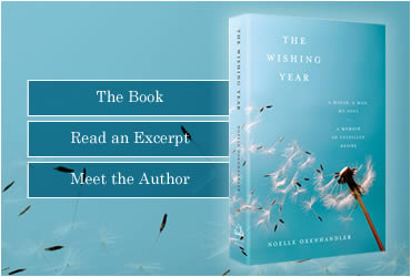 The Wishing Year by Noelle Oxenhandler