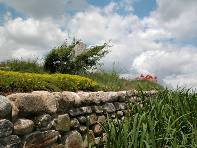 31_IrishHungerMemlan#70031